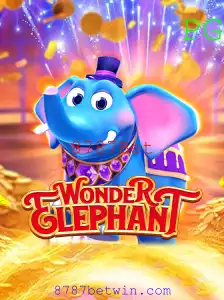 Descubra o Mundo Fascinante de WonderElephant com 8787Bet